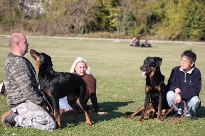 de La Cité des Comtes - journée beauceronne