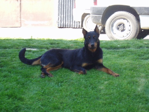 Salem de La Cité des Comtes