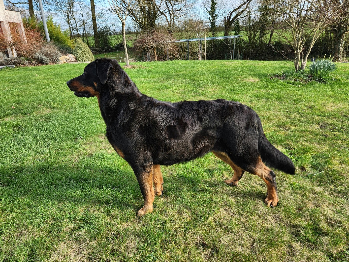 Tagada de La Cité des Comtes